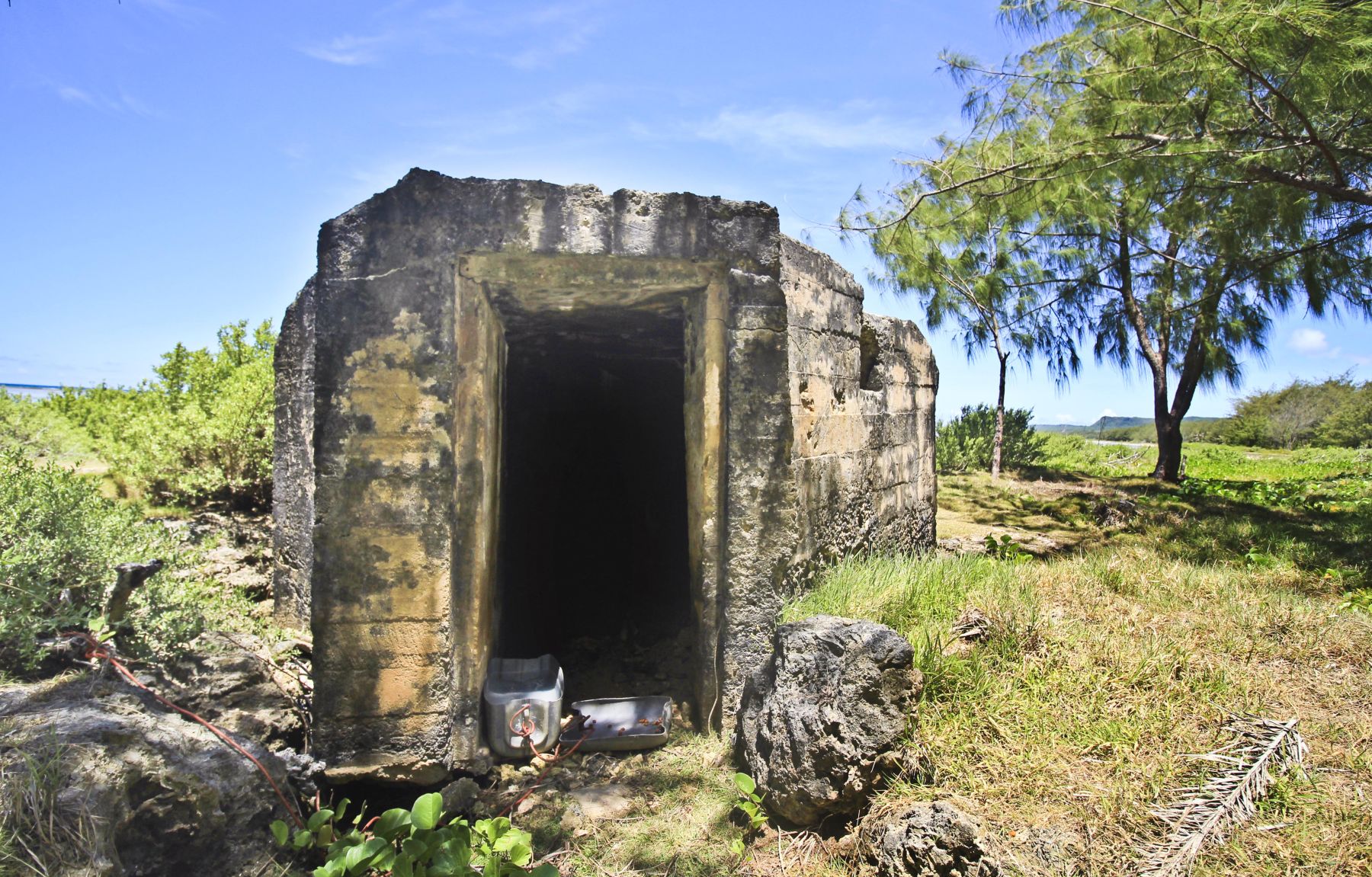 Ipan